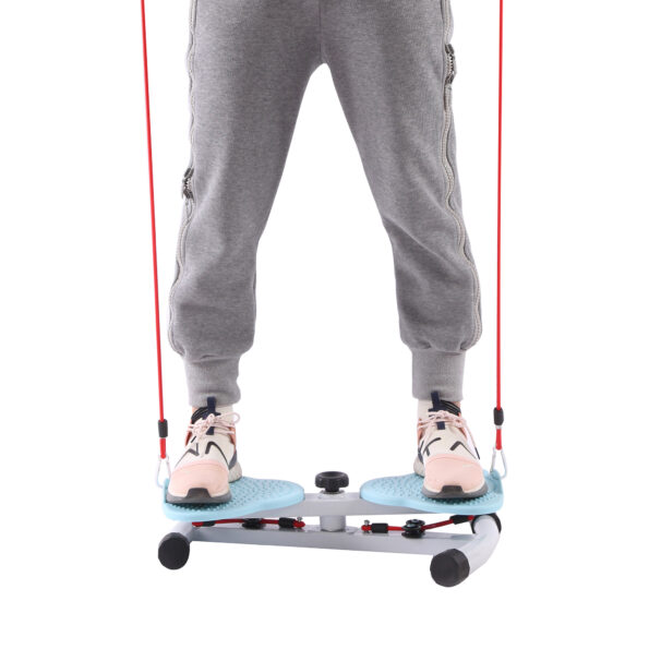 Waist Twist Machine - Image 7
