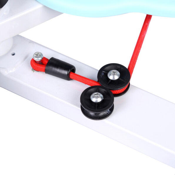 Waist Twist Machine - Image 4